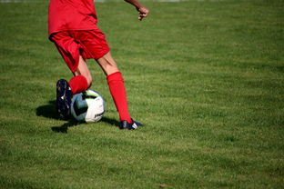 九游.中国官网-NBA球队青训体系建设与人才储备，nba青年队